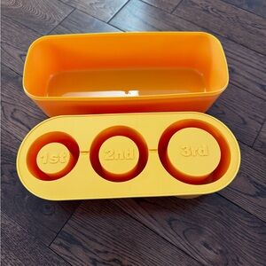 Orange ice mold Set for Stanley’s